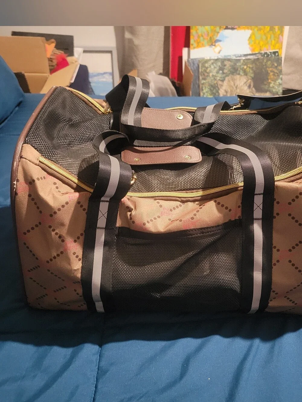 Betsey Johnson betsey johnson